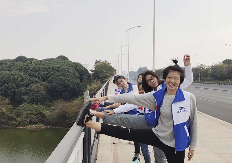 鹰